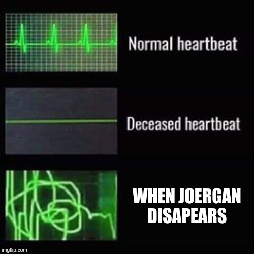 heartbeat rate | WHEN JOERGAN DISAPEARS | image tagged in heartbeat rate | made w/ Imgflip meme maker