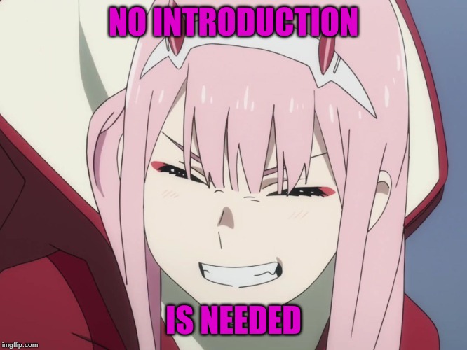 Smiling Zero-Two | NO INTRODUCTION IS NEEDED | image tagged in smiling zero-two | made w/ Imgflip meme maker