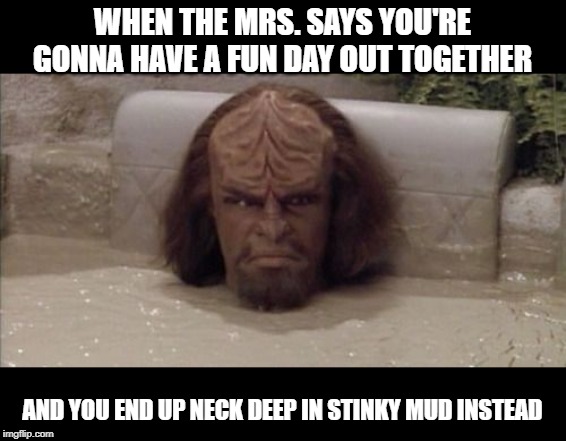 You Mean We're Just Supposed to Sit Here??? | WHEN THE MRS. SAYS YOU'RE GONNA HAVE A FUN DAY OUT TOGETHER; AND YOU END UP NECK DEEP IN STINKY MUD INSTEAD | image tagged in worf is not amused | made w/ Imgflip meme maker