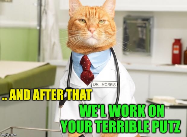 Cat Doctor | .. AND AFTER THAT WE’L WORK ON YOUR TERRIBLE PUTZ | image tagged in cat doctor | made w/ Imgflip meme maker