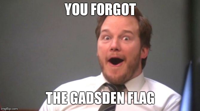 Chris Pratt Happy | YOU FORGOT THE GADSDEN FLAG | image tagged in chris pratt happy | made w/ Imgflip meme maker