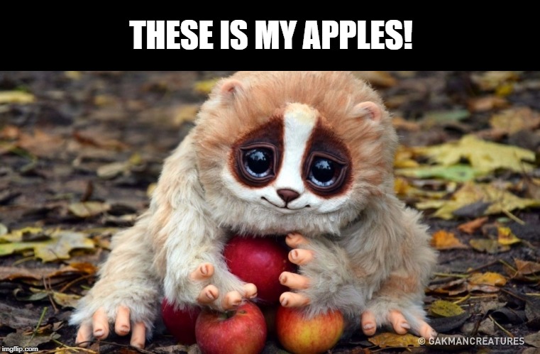 So Stinkin' Cute! | THESE IS MY APPLES! | image tagged in cute animals | made w/ Imgflip meme maker