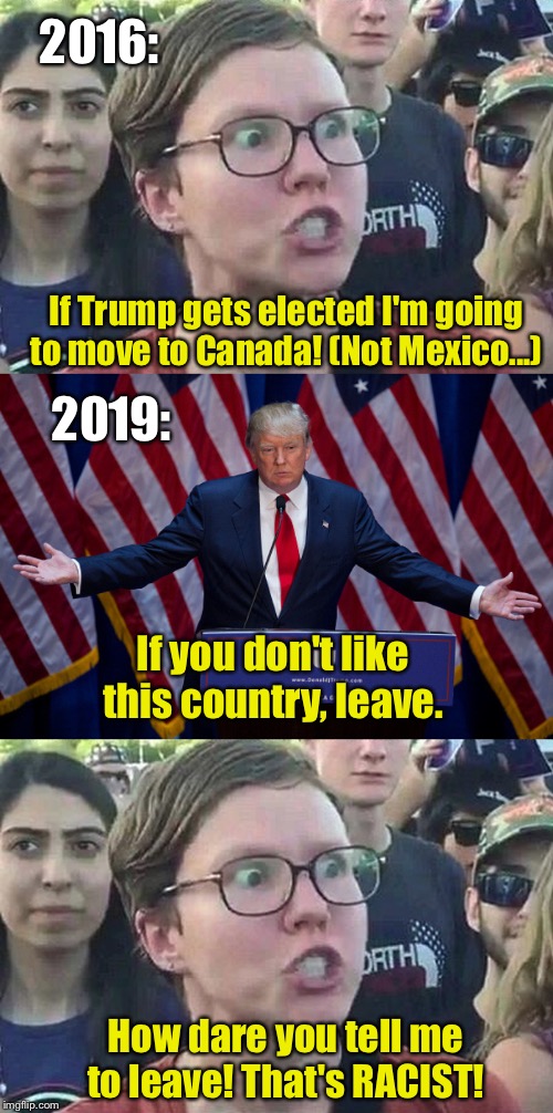 I thought it was a joke until I saw it happen with my own eyes | 2016:; If Trump gets elected I'm going to move to Canada! (Not Mexico...); 2019:; If you don't like this country, leave. How dare you tell me to leave! That's RACIST! | image tagged in donald trump,triggered liberal | made w/ Imgflip meme maker