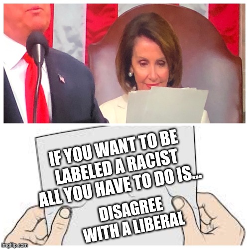 What was Pelosi reading? | IF YOU WANT TO BE LABELED A RACIST ALL YOU HAVE TO DO IS... DISAGREE WITH A LIBERAL | image tagged in what was pelosi reading | made w/ Imgflip meme maker