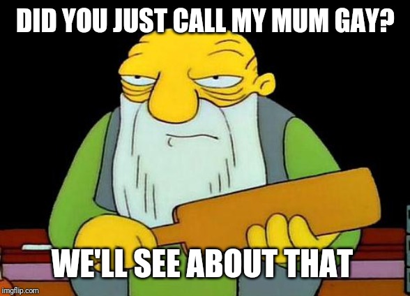 That's a paddlin' Meme | DID YOU JUST CALL MY MUM GAY? WE'LL SEE ABOUT THAT | image tagged in memes,that's a paddlin' | made w/ Imgflip meme maker