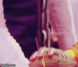 image tagged in gifs | made w/ Imgflip video-to-gif maker