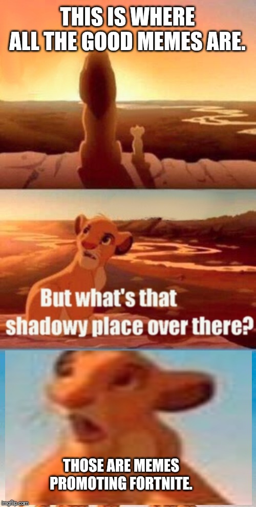 Fortnite is bad | THIS IS WHERE ALL THE GOOD MEMES ARE. THOSE ARE MEMES PROMOTING FORTNITE. | image tagged in memes,simba shadowy place | made w/ Imgflip meme maker