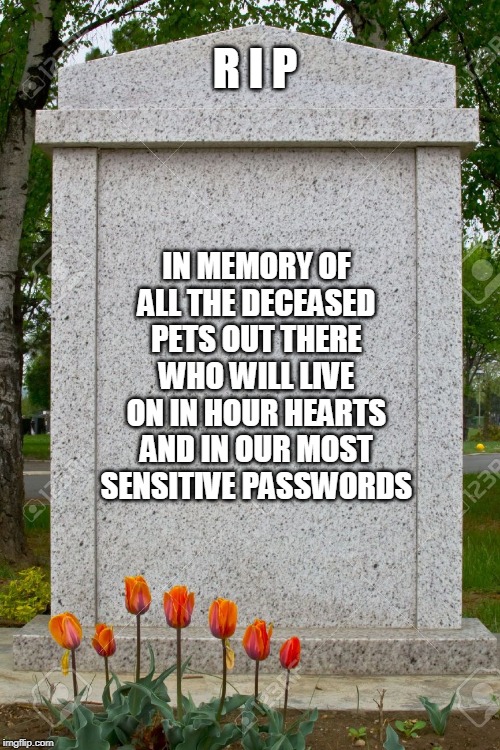 Rest In Peace  FuRball69&^1983 | R I P; IN MEMORY OF ALL THE DECEASED PETS OUT THERE WHO WILL LIVE ON IN HOUR HEARTS AND IN OUR MOST SENSITIVE PASSWORDS | image tagged in blank gravestone,password,pets,rip | made w/ Imgflip meme maker