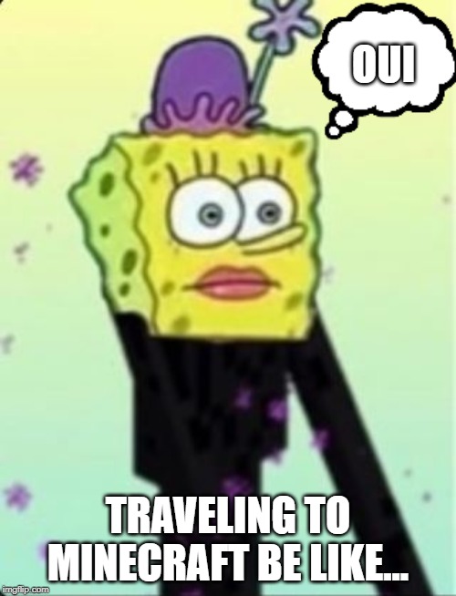 OUI | OUI; TRAVELING TO MINECRAFT BE LIKE... | image tagged in oui | made w/ Imgflip meme maker