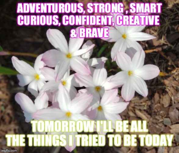 Flowers | ADVENTUROUS, STRONG , SMART
CURIOUS, CONFIDENT, CREATIVE 
& BRAVE; TOMORROW I'LL BE ALL THE THINGS I TRIED TO BE TODAY | image tagged in flowers | made w/ Imgflip meme maker