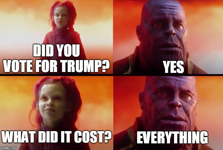 thanos what did it cost | DID YOU VOTE FOR TRUMP? YES; WHAT DID IT COST? EVERYTHING | image tagged in thanos what did it cost | made w/ Imgflip meme maker