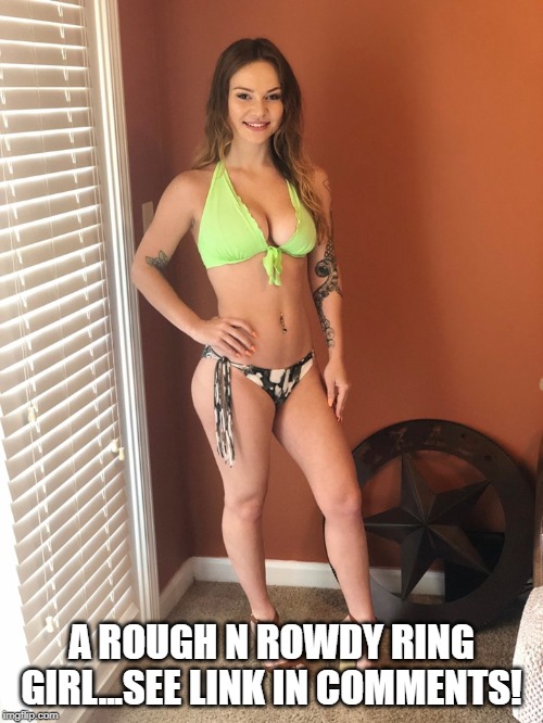 Vote for Me | A ROUGH N ROWDY RING GIRL...SEE LINK IN COMMENTS! | image tagged in big boobs | made w/ Imgflip meme maker