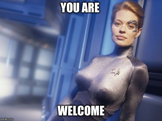 seven of nine | YOU ARE WELCOME | image tagged in seven of nine | made w/ Imgflip meme maker