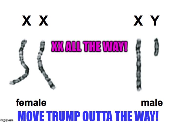 XX ALL THE WAY! | XX ALL THE WAY! MOVE TRUMP OUTTA THE WAY! | image tagged in trump,blue wave,election | made w/ Imgflip meme maker