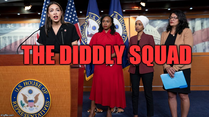 The Squad? Don't you mean the Squat - as in they accomplished diddly squat. | THE DIDDLY SQUAD | image tagged in squad,squat,nothings,zeroes,losers | made w/ Imgflip meme maker