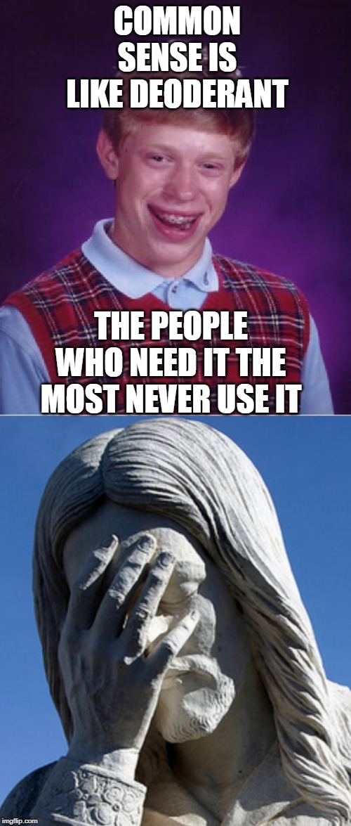 COMMON SENSE IS LIKE DEODERANT; THE PEOPLE WHO NEED IT THE MOST NEVER USE IT | image tagged in memes,bad luck brian,ashamed jesus | made w/ Imgflip meme maker