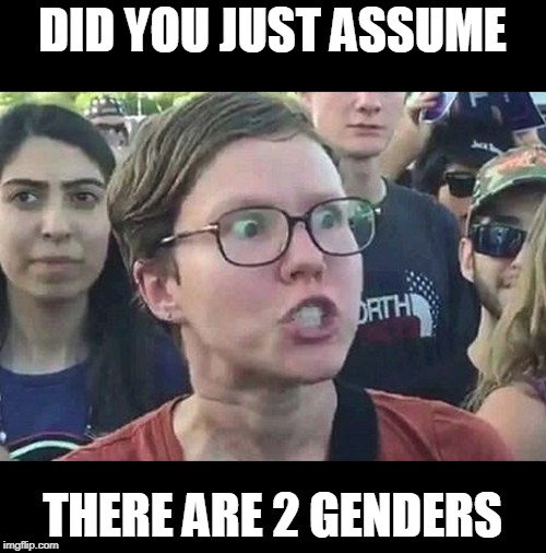 Triggered Liberal | DID YOU JUST ASSUME THERE ARE 2 GENDERS | image tagged in triggered liberal | made w/ Imgflip meme maker