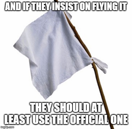 WHITE FLAG | AND IF THEY INSIST ON FLYING IT THEY SHOULD AT LEAST USE THE OFFICIAL ONE | image tagged in white flag | made w/ Imgflip meme maker