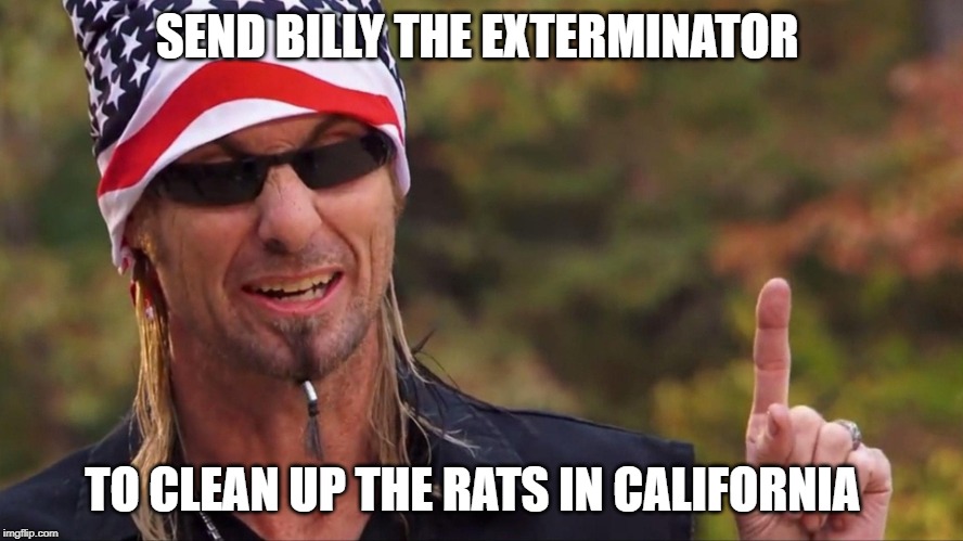 billy | SEND BILLY THE EXTERMINATOR; TO CLEAN UP THE RATS IN CALIFORNIA | image tagged in billy | made w/ Imgflip meme maker