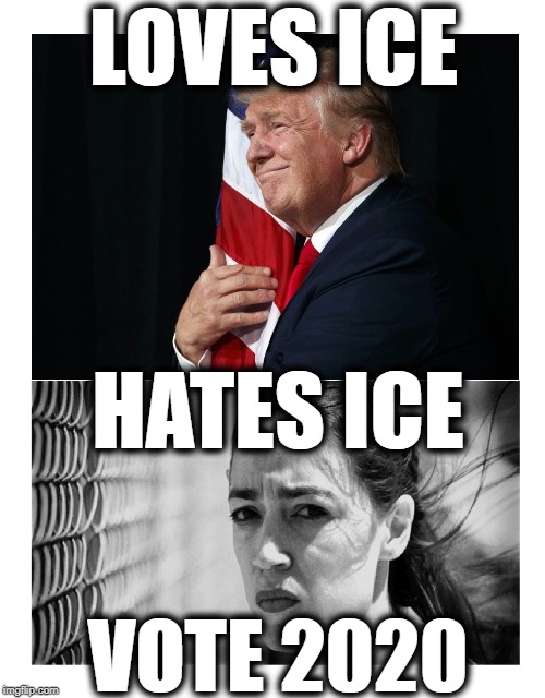 LOVES ICE; HATES ICE; VOTE 2020 | image tagged in trump 2020,alexandria ocasio-cortez,make america great again,illegal immigration,deport | made w/ Imgflip meme maker