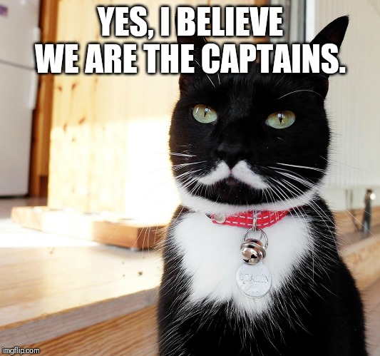 YES, I BELIEVE WE ARE THE CAPTAINS. | made w/ Imgflip meme maker