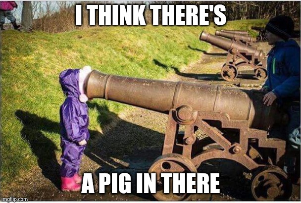 Girl Face In Cannon | I THINK THERE'S A PIG IN THERE | image tagged in girl face in cannon | made w/ Imgflip meme maker
