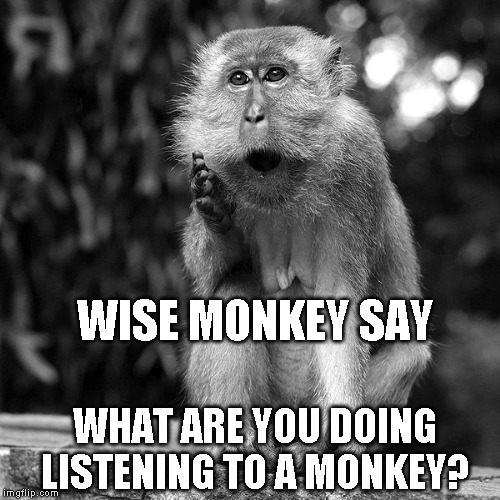 He's got a point | WISE MONKEY SAY; WHAT ARE YOU DOING LISTENING TO A MONKEY? | image tagged in wise monkey | made w/ Imgflip meme maker