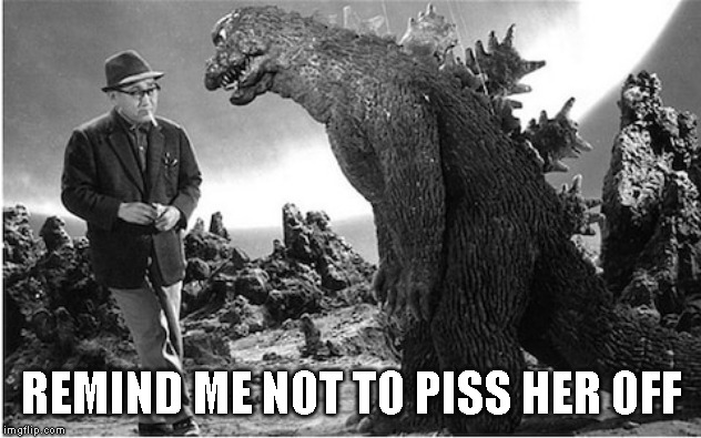 Godzilla | REMIND ME NOT TO PISS HER OFF | image tagged in godzilla | made w/ Imgflip meme maker