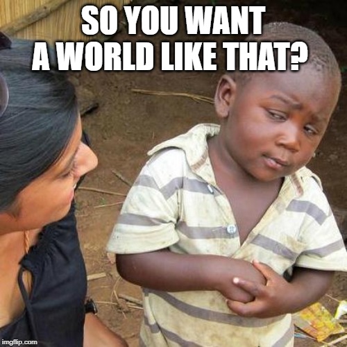 Third World Skeptical Kid Meme | SO YOU WANT A WORLD LIKE THAT? | image tagged in memes,third world skeptical kid | made w/ Imgflip meme maker
