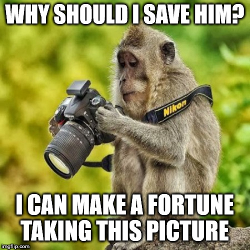 Mono fotografo | WHY SHOULD I SAVE HIM? I CAN MAKE A FORTUNE TAKING THIS PICTURE | image tagged in mono fotografo | made w/ Imgflip meme maker