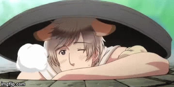 me climbing out of my hole to go to school minus the smile and cuteness | image tagged in gifs,hetalia | made w/ Imgflip video-to-gif maker