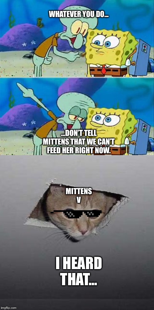 WHATEVER YOU DO... ...DON’T TELL MITTENS THAT WE CAN’T FEED HER RIGHT NOW. MITTENS
V; I HEARD THAT... | image tagged in memes,talk to spongebob,ceiling cat | made w/ Imgflip meme maker