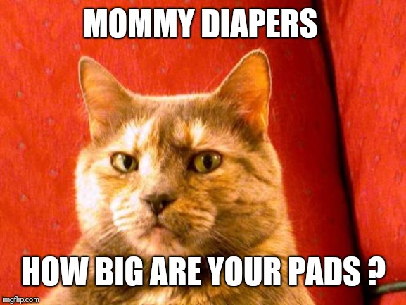 Suspicious Cat Meme | MOMMY DIAPERS HOW BIG ARE YOUR PADS ? | image tagged in memes,suspicious cat | made w/ Imgflip meme maker
