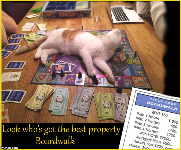 Boardwalk is ....MINE | image tagged in monopoly,cute cats,lol so funny,funny memes,boardwalk,memes | made w/ Imgflip meme maker