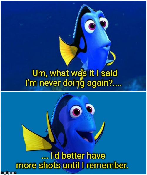 Dory | Um, what was it I said I'm never doing again?.... ... I'd better have more shots until I remember. | image tagged in dory | made w/ Imgflip meme maker