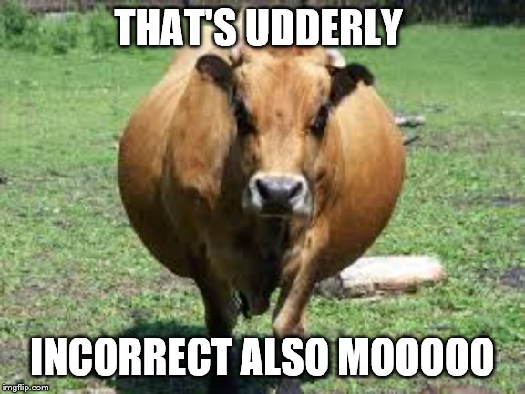 fat cow | THAT'S UDDERLY INCORRECT ALSO MOOOOO | image tagged in fat cow | made w/ Imgflip meme maker