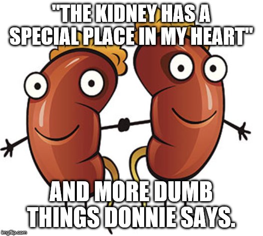 Kidneys | "THE KIDNEY HAS A SPECIAL PLACE IN MY HEART"; AND MORE DUMB THINGS DONNIE SAYS. | image tagged in kidneys | made w/ Imgflip meme maker