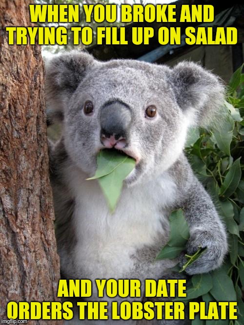 Surprised Koala Meme | WHEN YOU BROKE AND TRYING TO FILL UP ON SALAD; AND YOUR DATE ORDERS THE LOBSTER PLATE | image tagged in memes,surprised koala | made w/ Imgflip meme maker