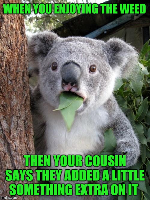 Surprised Koala | WHEN YOU ENJOYING THE WEED; THEN YOUR COUSIN SAYS THEY ADDED A LITTLE SOMETHING EXTRA ON IT | image tagged in memes,surprised koala | made w/ Imgflip meme maker