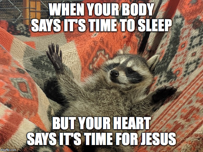 Doody's Racoon | WHEN YOUR BODY SAYS IT'S TIME TO SLEEP; BUT YOUR HEART SAYS IT'S TIME FOR JESUS | image tagged in doody's racoon | made w/ Imgflip meme maker
