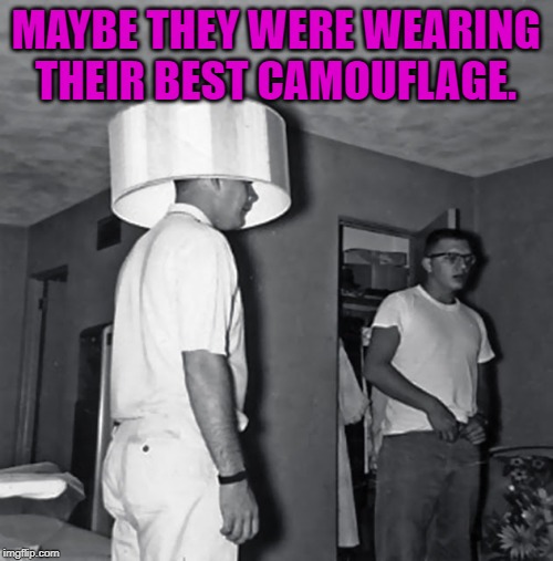 camoflage | MAYBE THEY WERE WEARING THEIR BEST CAMOUFLAGE. | image tagged in camoflage | made w/ Imgflip meme maker