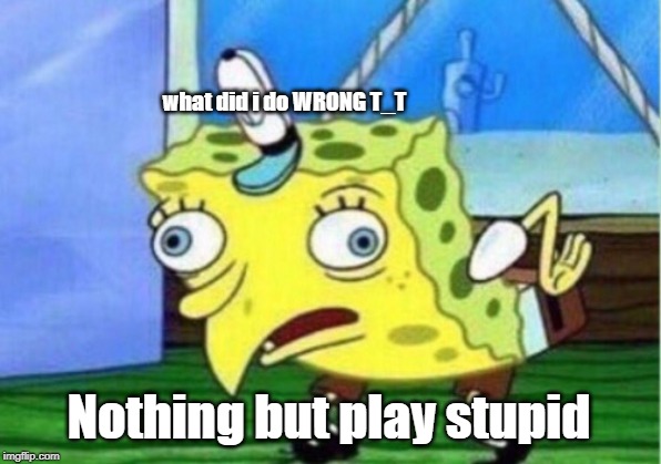 what did i do WRONG T_T Nothing but play stupid | image tagged in memes,mocking spongebob | made w/ Imgflip meme maker