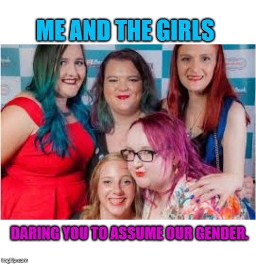 What the heck right? May as well ! | ME AND THE GIRLS; DARING YOU TO ASSUME OUR GENDER. | image tagged in nixieknox,memes | made w/ Imgflip meme maker