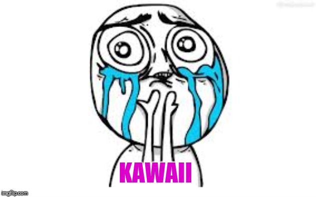 Crying Because Of Cute Meme | KAWAII | image tagged in memes,crying because of cute | made w/ Imgflip meme maker