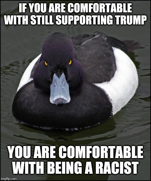 Angry duck | IF YOU ARE COMFORTABLE WITH STILL SUPPORTING TRUMP; YOU ARE COMFORTABLE WITH BEING A RACIST | image tagged in angry duck | made w/ Imgflip meme maker