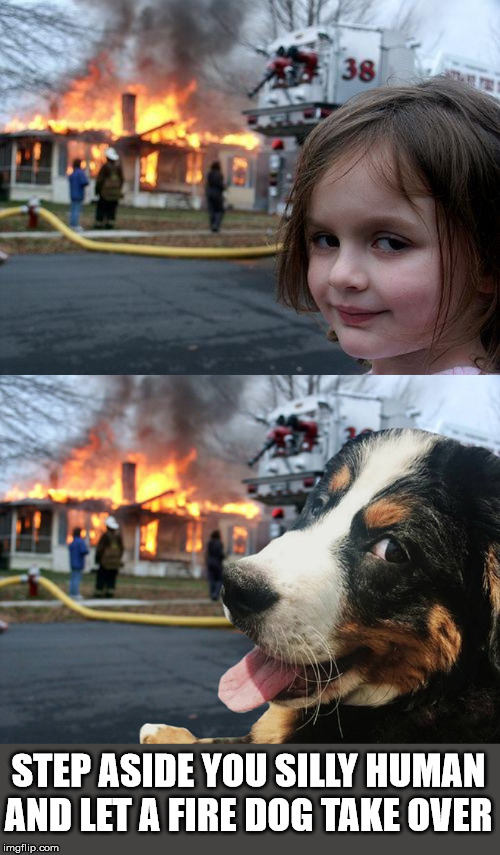 There is a new sheriff in town | STEP ASIDE YOU SILLY HUMAN AND LET A FIRE DOG TAKE OVER | image tagged in memes,disaster girl,frontpage | made w/ Imgflip meme maker
