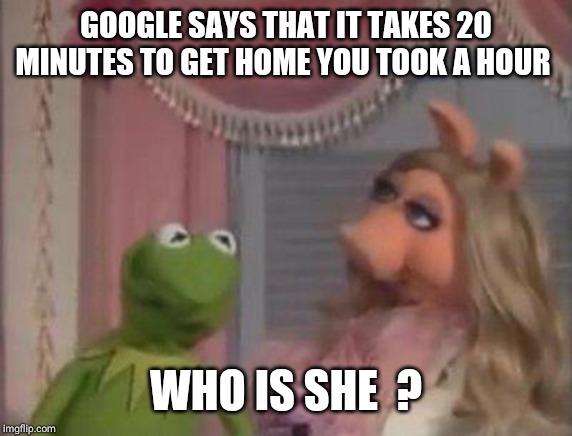 Miss Piggy got 1 mo time | GOOGLE SAYS THAT IT TAKES 20 MINUTES TO GET HOME YOU TOOK A HOUR; WHO IS SHE  ? | image tagged in miss piggy got 1 mo time | made w/ Imgflip meme maker