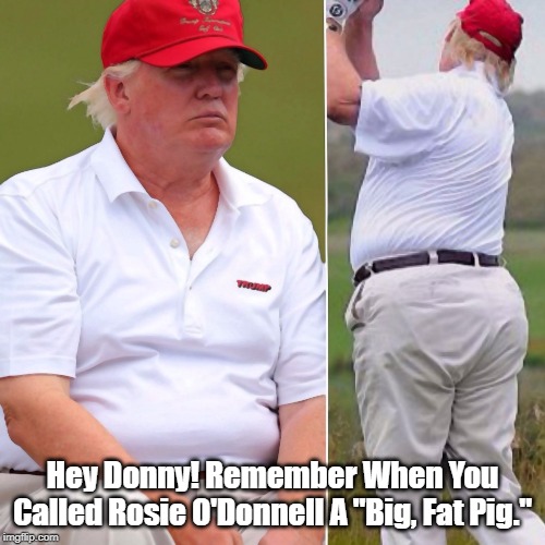 Hey Donny! Remember When You Called Rosie O'Donnell A "Big, Fat Pig." | made w/ Imgflip meme maker