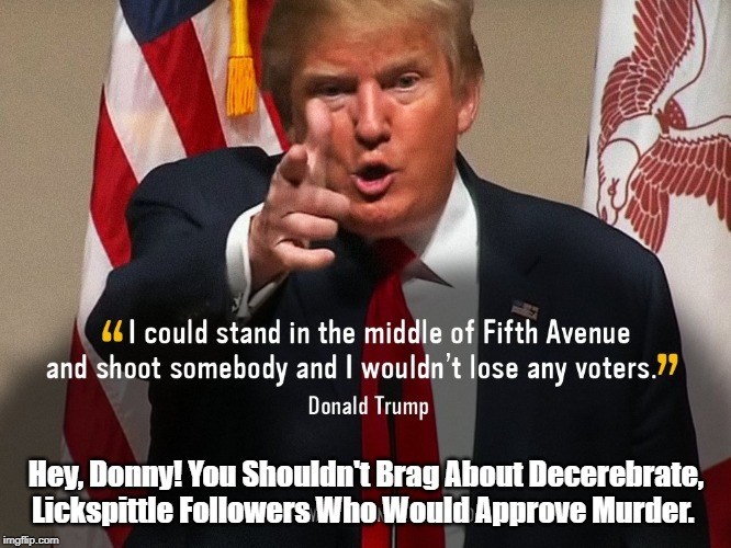 "I Could Stand In The Middle Of 5th Avenue And Shoot Somebody, And..." | Hey, Donny! You Shouldn't Brag About Decerebrate, Lickspittle Followers Who Would Approve Murder. | image tagged in trump,donald,5th avenue,trump brags about followers dimwittedness,trump brags about followers moral turpitude,trump lickspittles | made w/ Imgflip meme maker