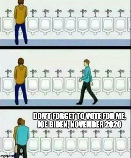 Urinal | DON’T FORGET TO VOTE FOR ME,
JOE BIDEN, NOVEMBER 2020 | image tagged in urinal | made w/ Imgflip meme maker
